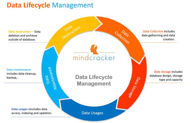 What is Database Management